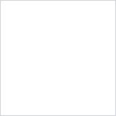 Краска PRIME COLOR резиновая PRO Белая 10-01 арт.2,5